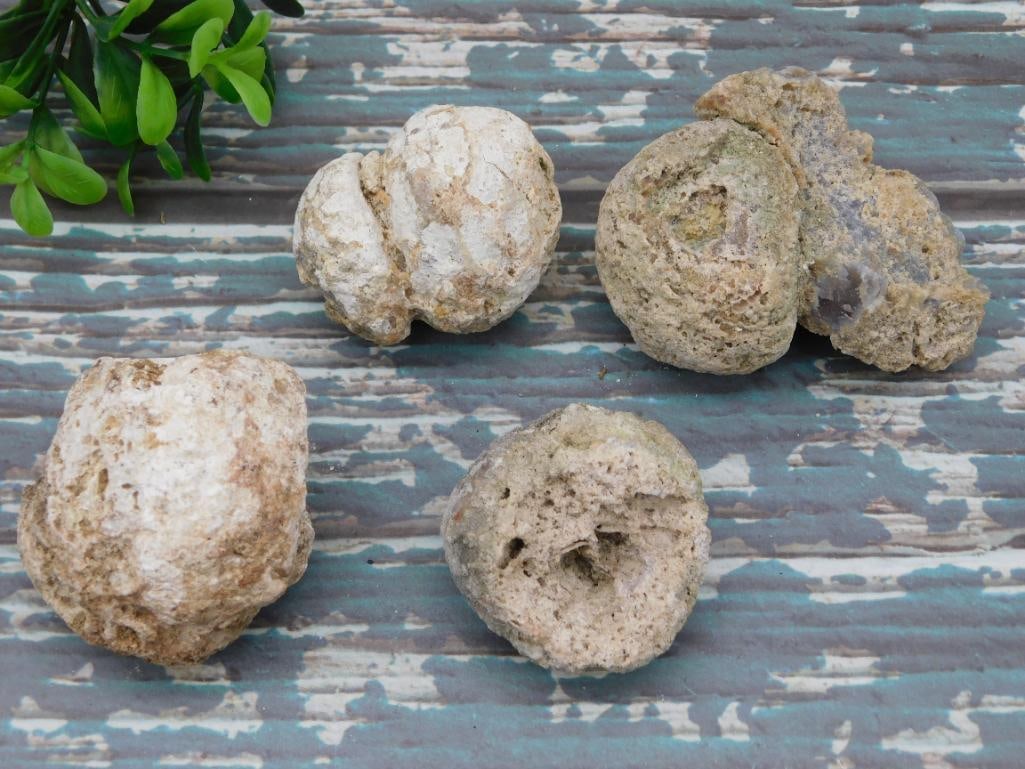 MEXICAN AGATE ROCK STONE LAPIDARY SPECIMEN: MEXICAN AGATE ROCK STONE LAPIDARY SPECIMEN