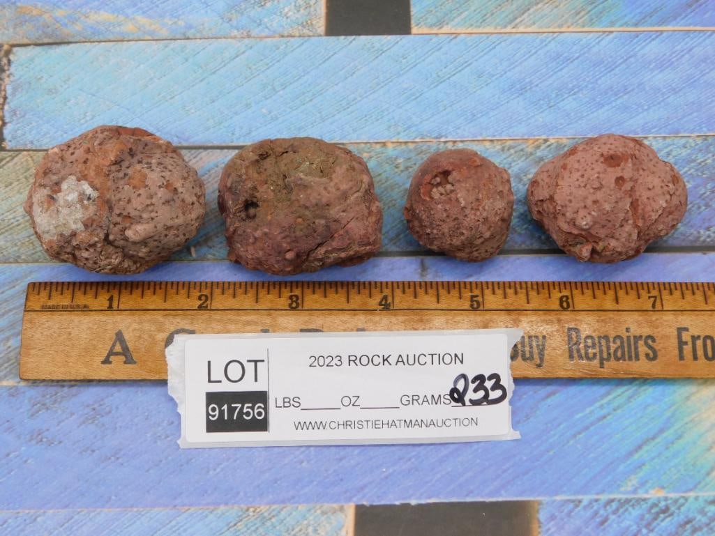 COPROLITE ROCK STONE LAPIDARY SPECIMEN - 2