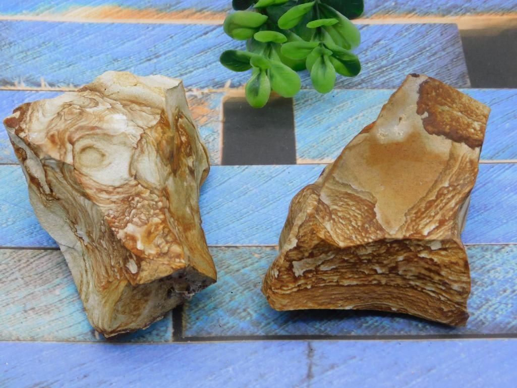 JASPER ROCK STONE LAPIDARY SPECIMEN: JASPER ROCK STONE LAPIDARY SPECIMEN