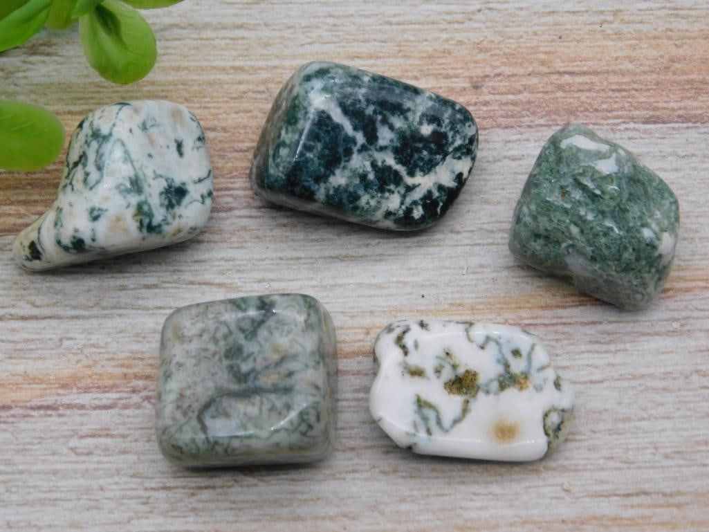 TREE AGATE ROCK STONE LAPIDARY SPECIMEN (1 of 2)