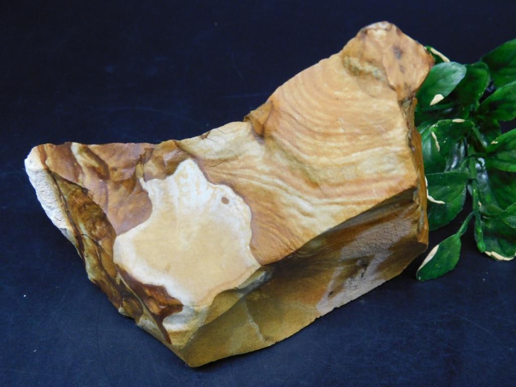 JASPER ROCK STONE LAPIDARY SPECIMEN (1 of 2)