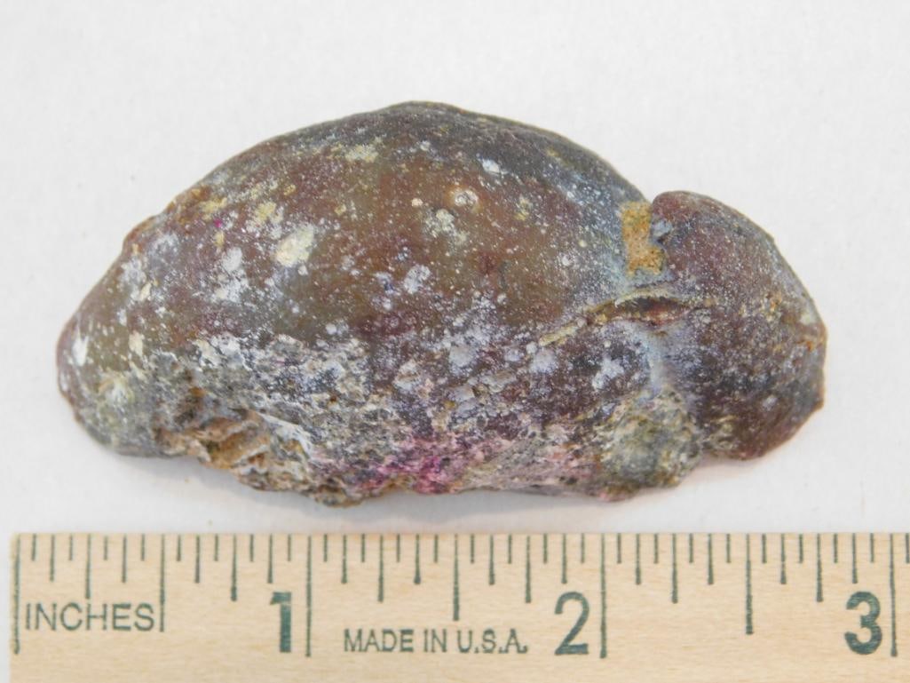 GEODE ROCK STONE LAPIDARY SPECIMEN - 3