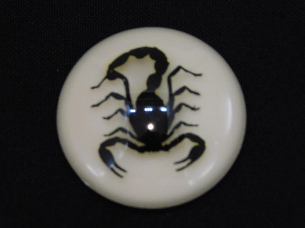 SCORPION CABOCHON ROCK STONE LAPIDARY SPECIMEN: SCORPION CABOCHON ROCK STONE LAPIDARY SPECIMEN