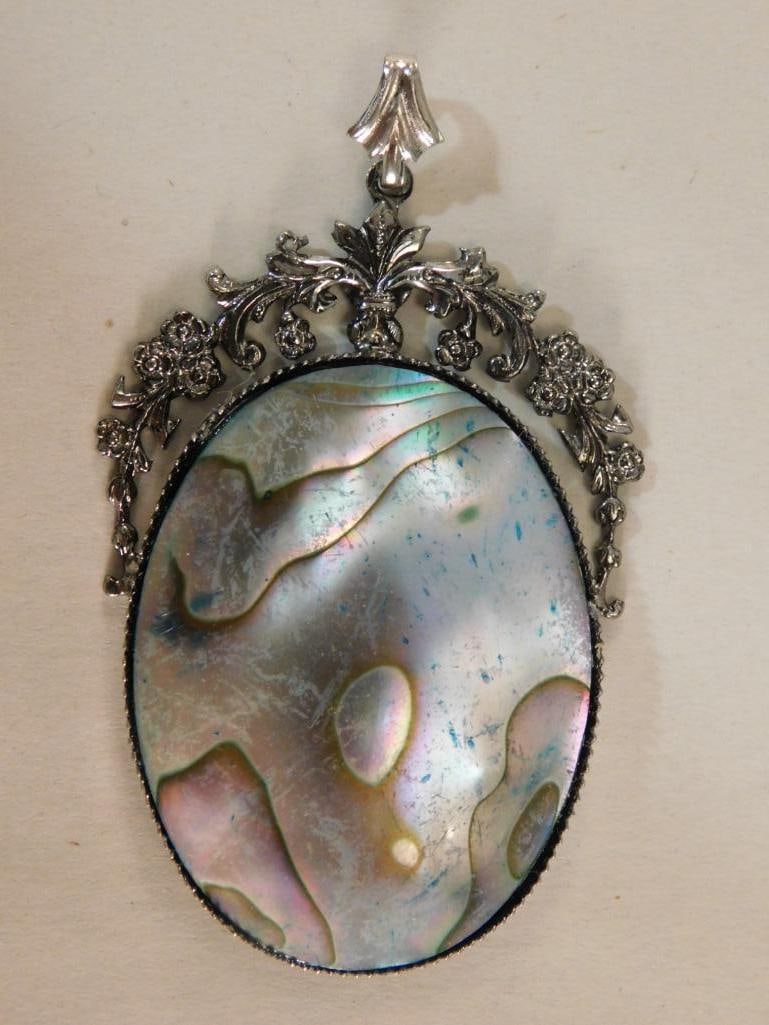 ABALONE PENDANT ROCK STONE LAPIDARY SPECIMEN (1 of 2)