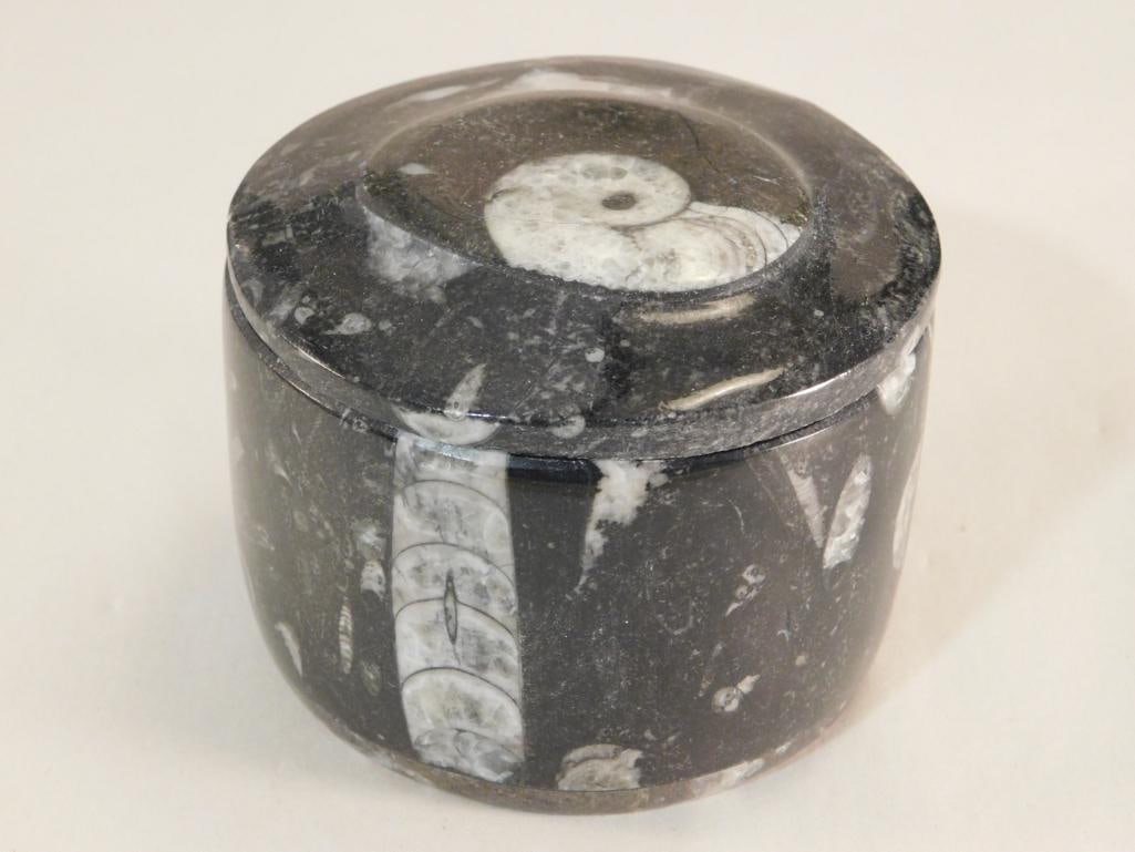 ORTHOCERAS TRINKET BOX ROCK STONE LAPIDARY SPECIMEN: ORTHOCERAS TRINKET BOX ROCK STONE LAPIDARY SPECIMEN