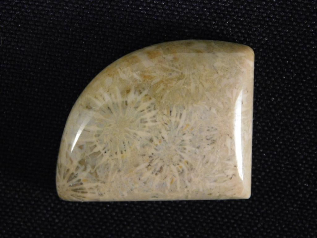 CORAL CABOCHON ROCK STONE LAPIDARY SPECIMEN (1 of 2)