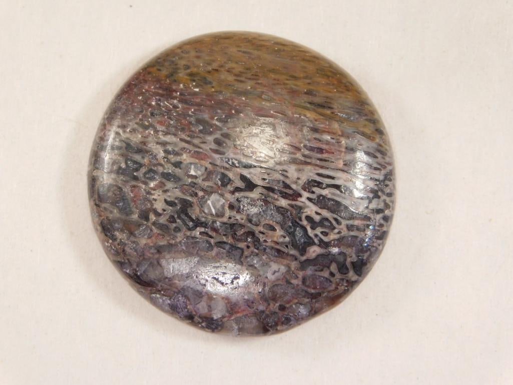 DINOSAUR BONE CABOCHON ROCK STONE LAPIDARY SPECIMEN (1 of 2)