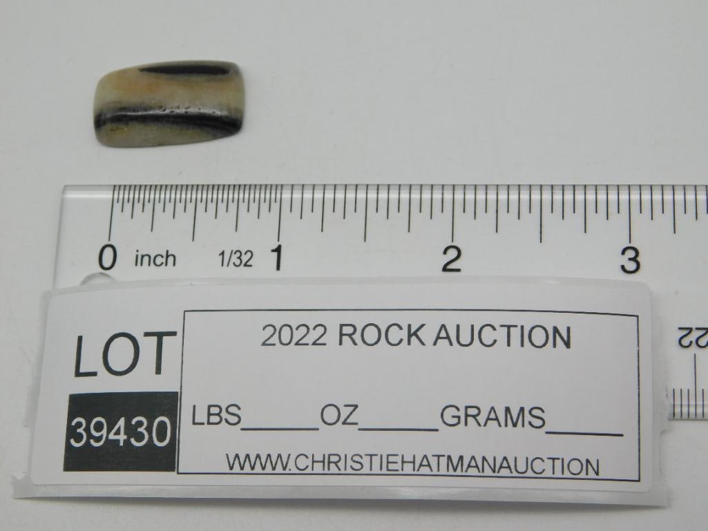 ZEBRA CABOCHON ROCK STONE LAPIDARY SPECIMEN - 2
