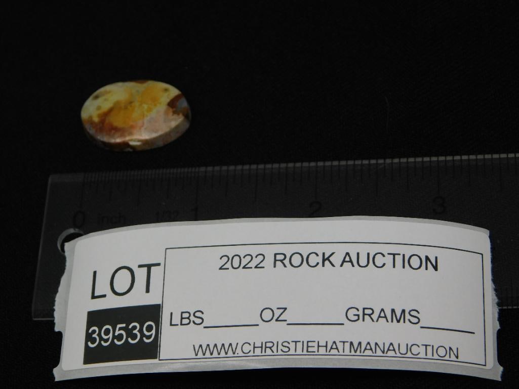 CABOCHON ROCK STONE LAPIDARY SPECIMEN - 4