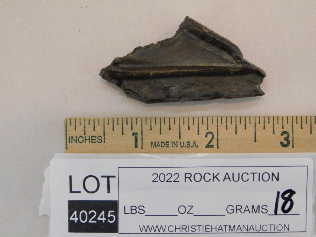 STROMATOLITE ROCK STONE LAPIDARY SPECIMEN - 2