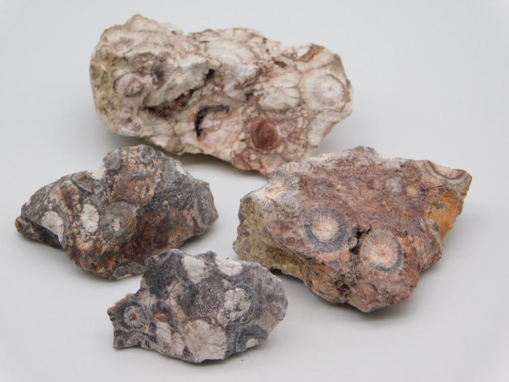 RHYOLITE ROCK STONE LAPIDARY SPECIMEN: RHYOLITE ROCK STONE LAPIDARY SPECIMEN