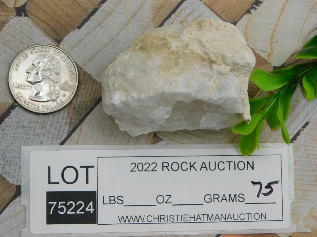 GEODE ROCK STONE LAPIDARY SPECIMEN - 2