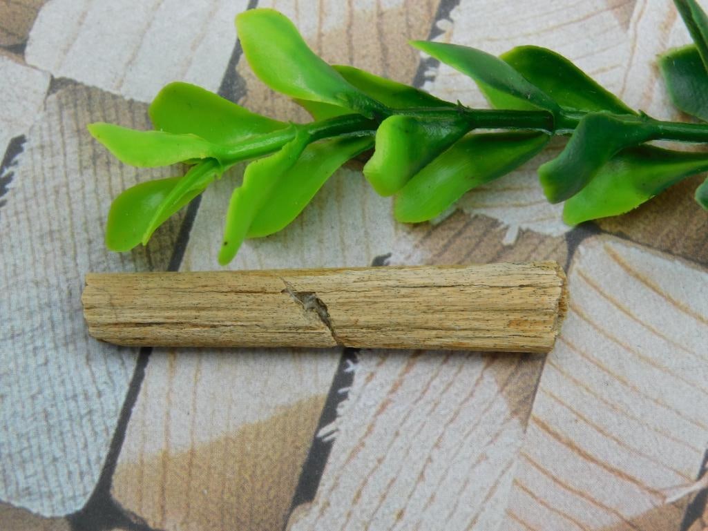 HADROSAUR TENDON FOSSIL ROCK STONE LAPIDARY SPECIMEN: HADROSAUR TENDON FOSSIL ROCK STONE LAPIDARY SPECIMEN