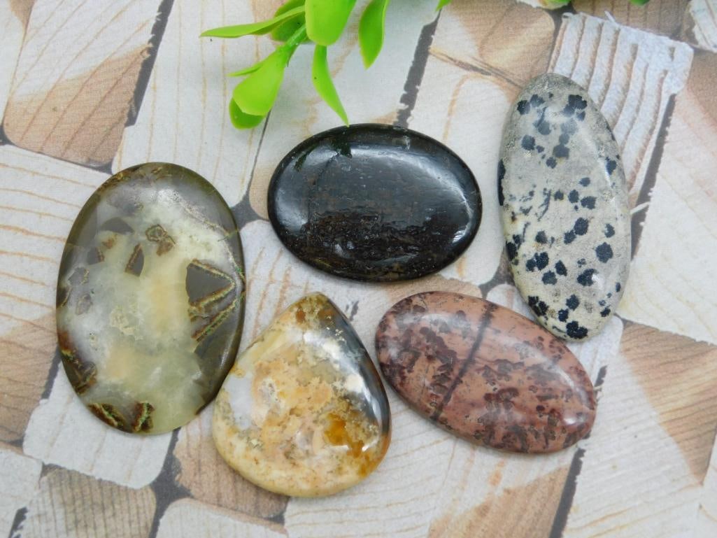 CABOCHONS ROCK STONE LAPIDARY SPECIMEN (1 of 2)