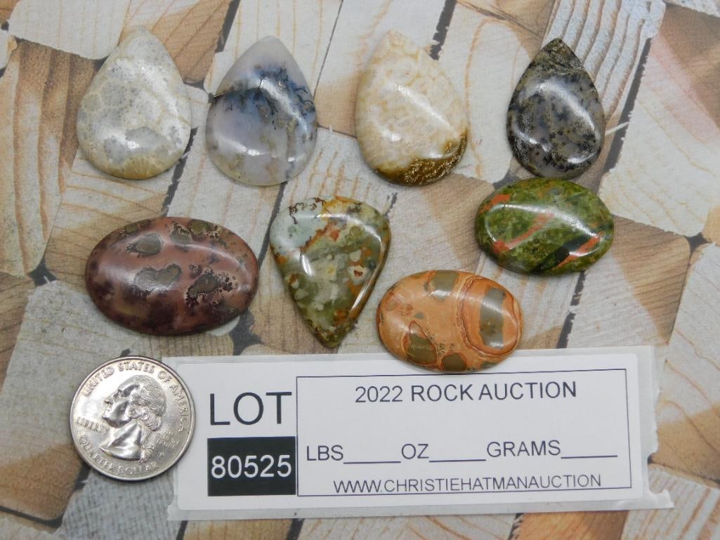 CABOCHONS ROCK STONE LAPIDARY SPECIMEN - 2