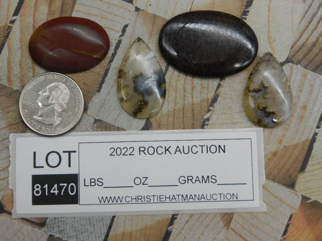 CABOCHONS ROCK STONE LAPIDARY SPECIMEN - 2
