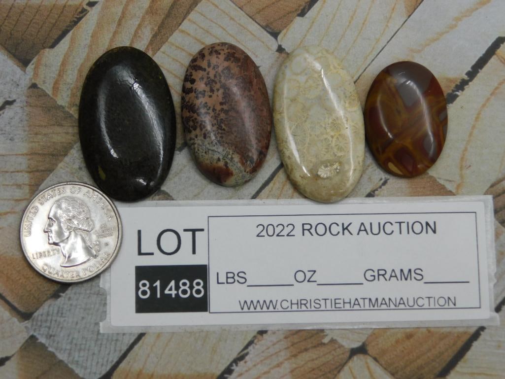 CABOCHONS ROCK STONE LAPIDARY SPECIMEN - 2