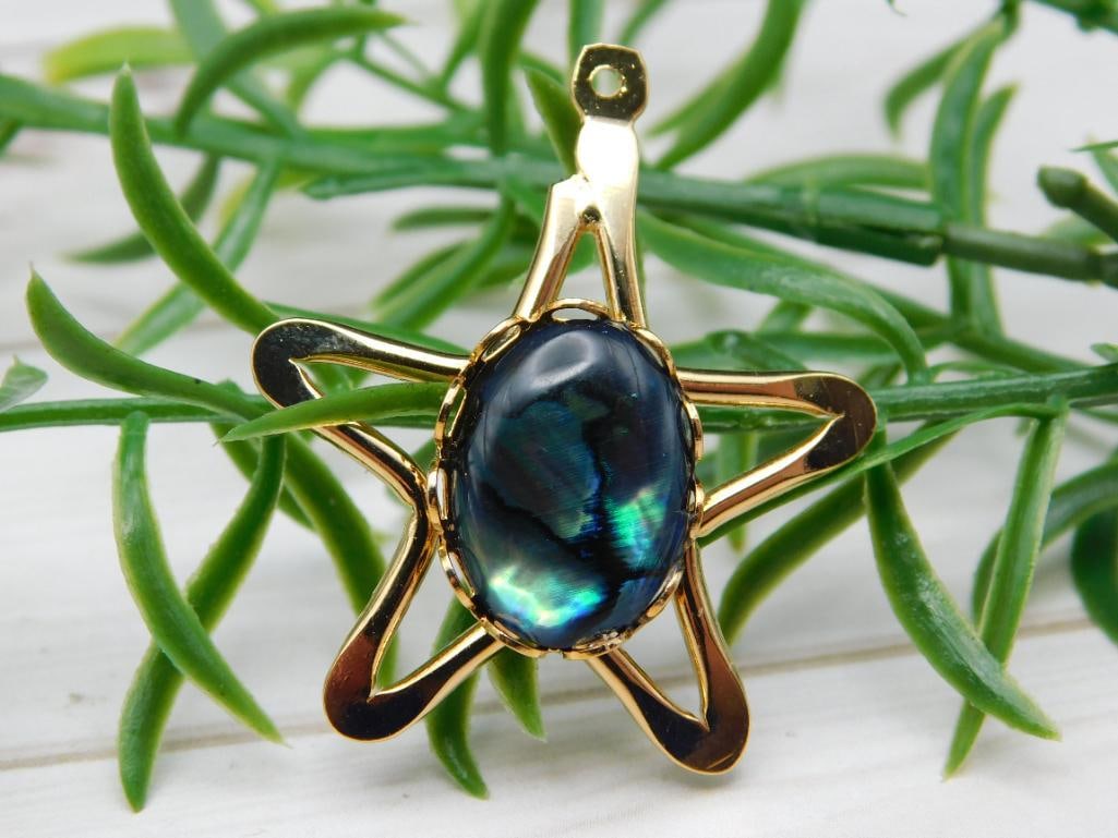 ABALONE STAR PENDANT ROCK STONE LAPIDARY SPECIMEN: ABALONE STAR PENDANT ROCK STONE LAPIDARY SPECIMEN