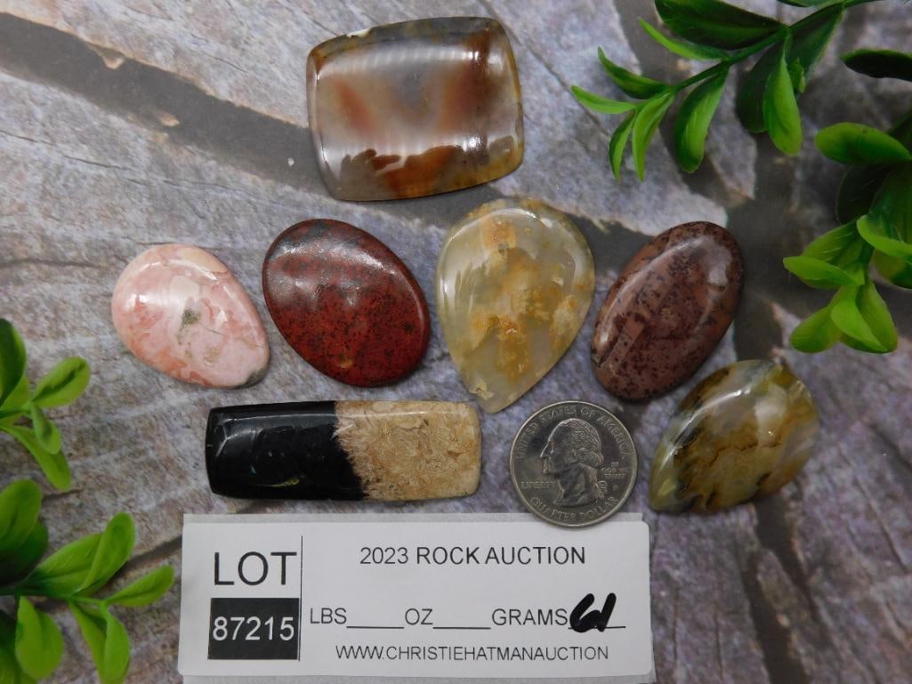 CABOCHONS ROCK STONE LAPIDARY SPECIMEN - 2