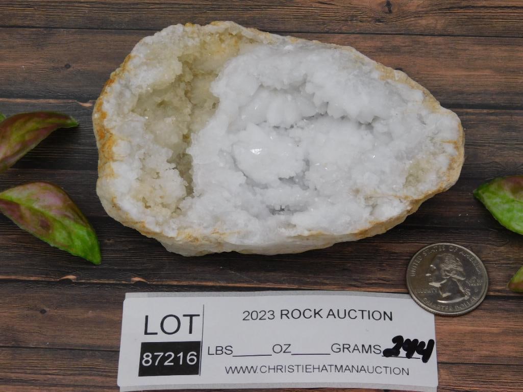 GEODE ROCK STONE LAPIDARY SPECIMEN - 2