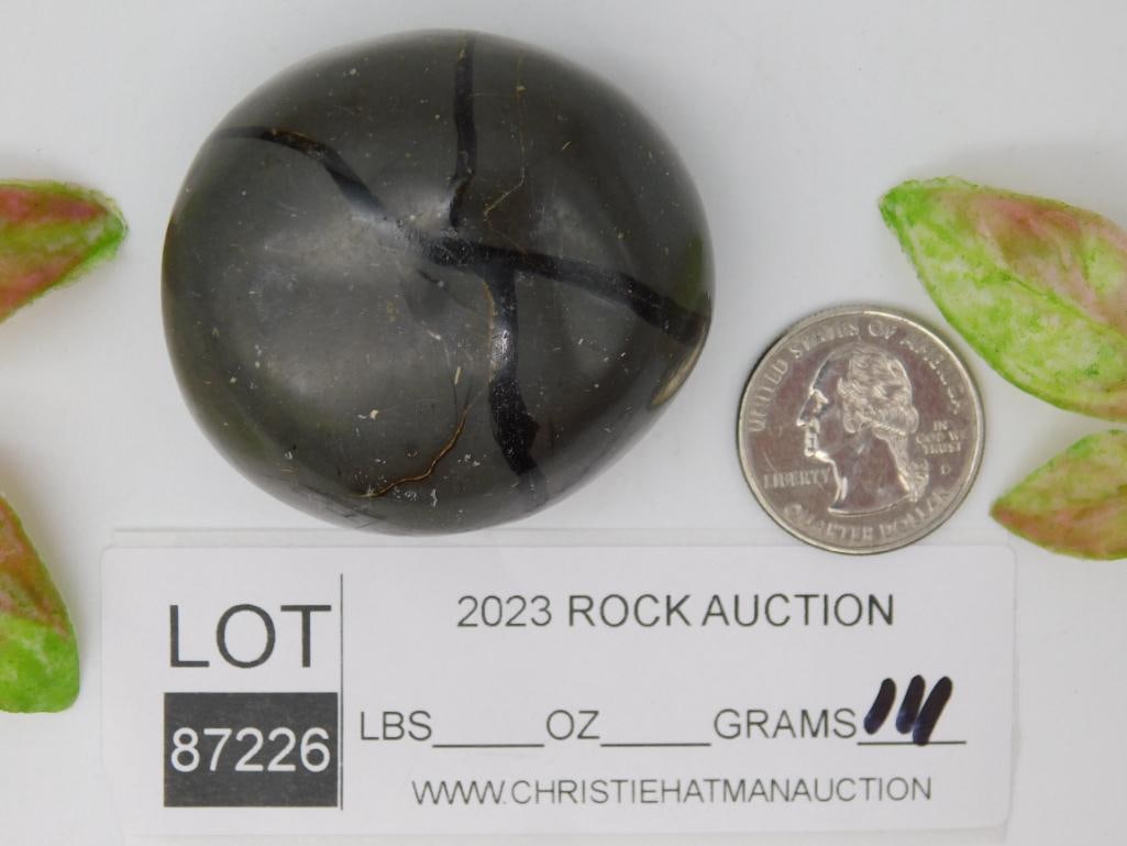 SEPTARIAN ROCK STONE LAPIDARY SPECIMEN - 2