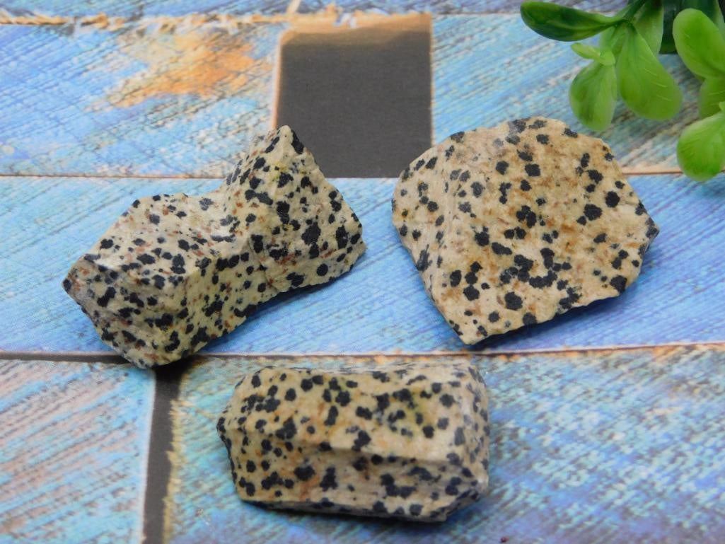 DALMATION JASPER ROCK STONE LAPIDARY SPECIMEN (1 of 2)