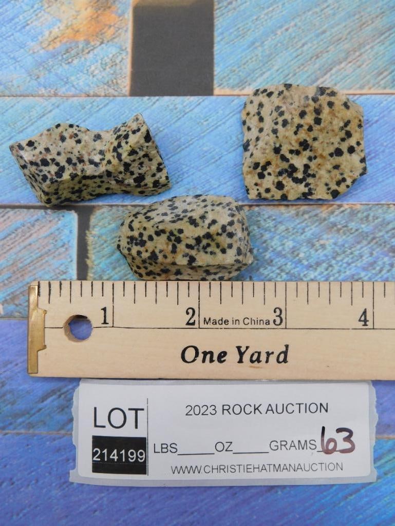 DALMATION JASPER ROCK STONE LAPIDARY SPECIMEN - 2