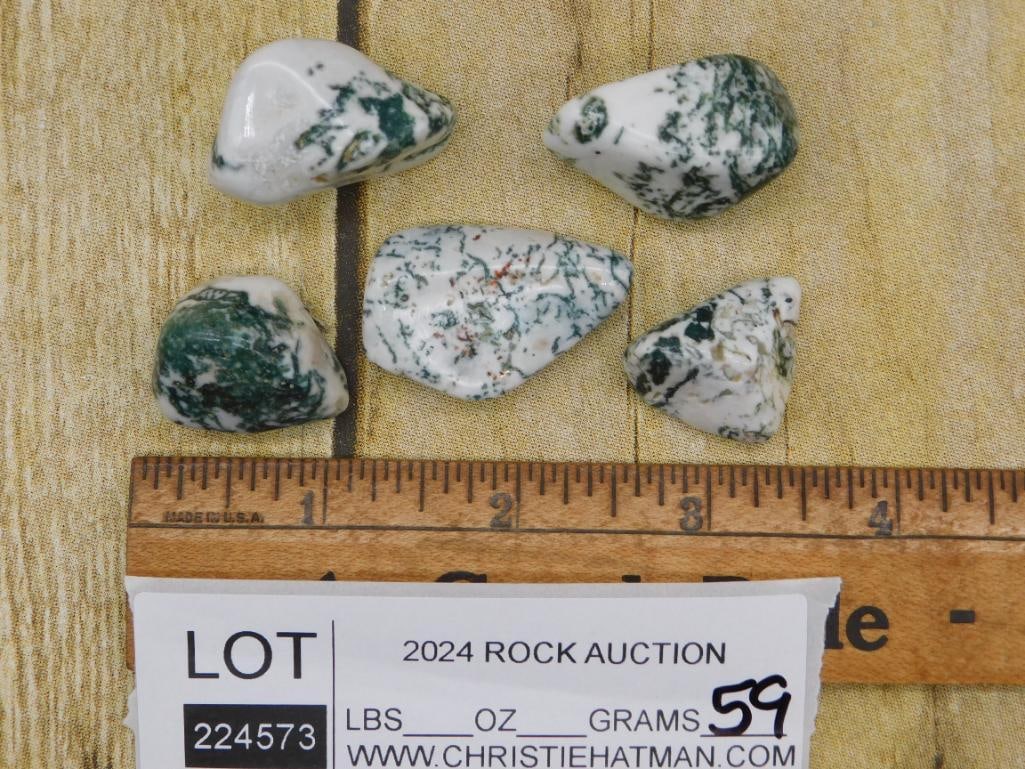 TREE AGATE ROCK STONE LAPIDARY SPECIMEN - 2