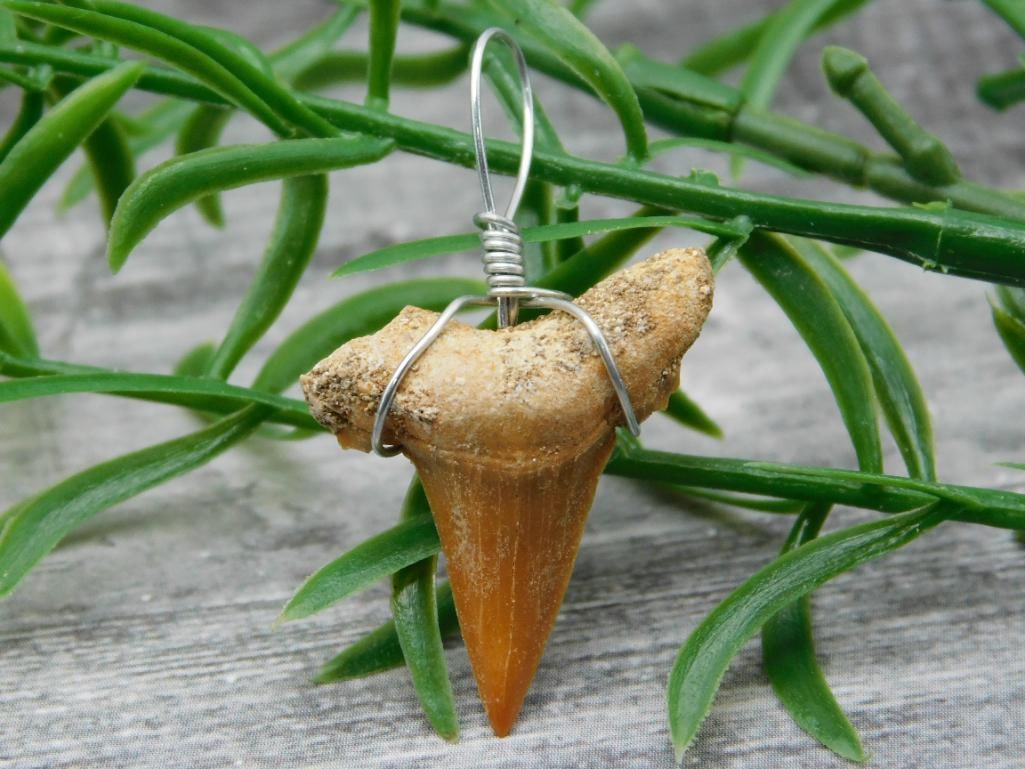 SPECIAL JEWELRY SALE! SEE PHOTOS FOR DETAILS: SPECIAL JEWELRY SALE! SEE PHOTOS FOR DETAILS