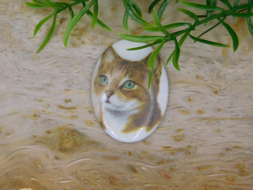 CAT CABOCHON ROCK STONE LAPIDARY SPECIMEN: CAT CABOCHON ROCK STONE LAPIDARY SPECIMEN