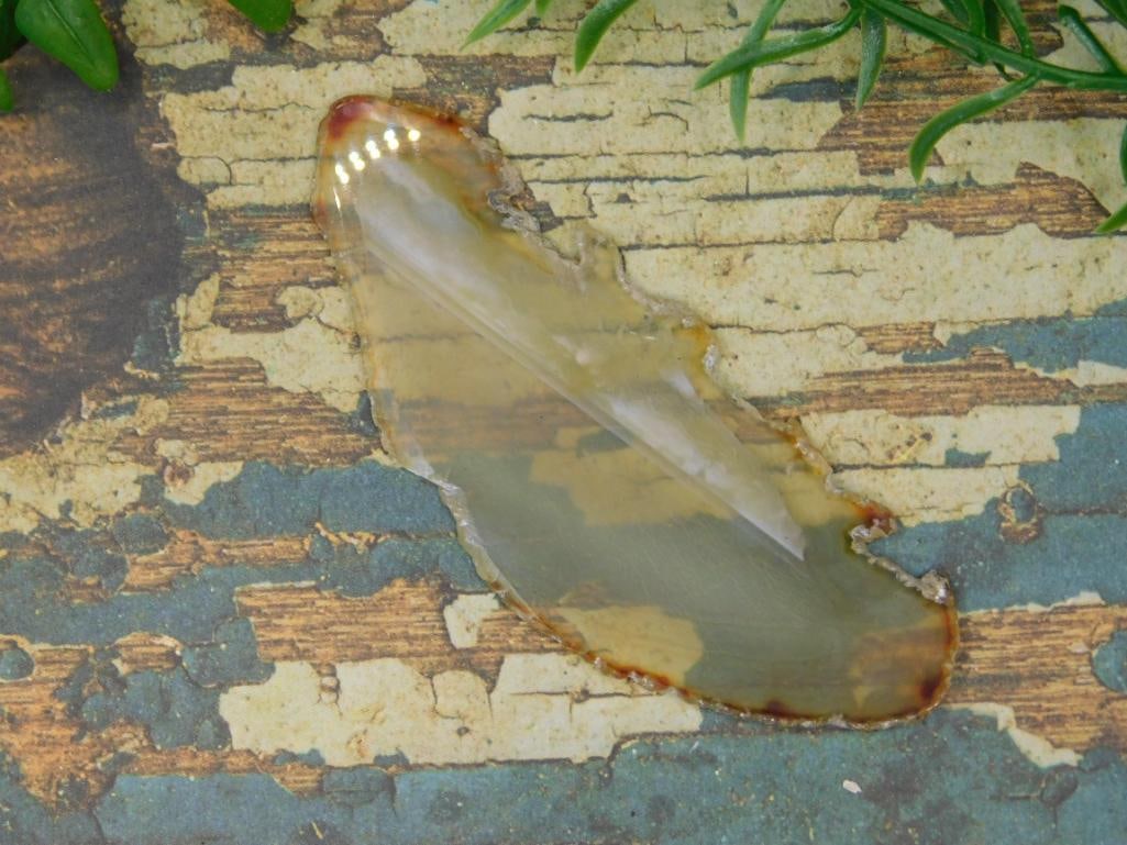 AGATE SLICE ROCK STONE LAPIDARY SPECIMEN: AGATE SLICE ROCK STONE LAPIDARY SPECIMEN