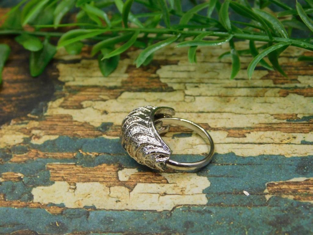 RING ROCK STONE LAPIDARY SPECIMEN - 2