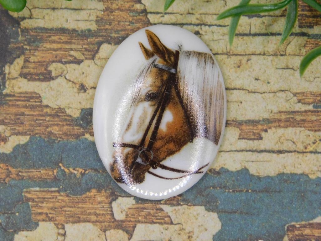 HORSE CABOCHON ROCK STONE LAPIDARY SPECIMEN: HORSE CABOCHON ROCK STONE LAPIDARY SPECIMEN
