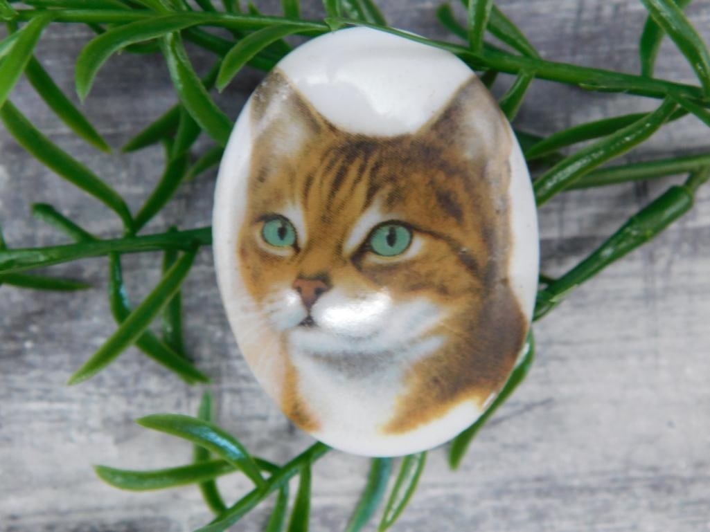 CAT CABOCHON ROCK STONE LAPIDARY SPECIMEN: CAT CABOCHON ROCK STONE LAPIDARY SPECIMEN