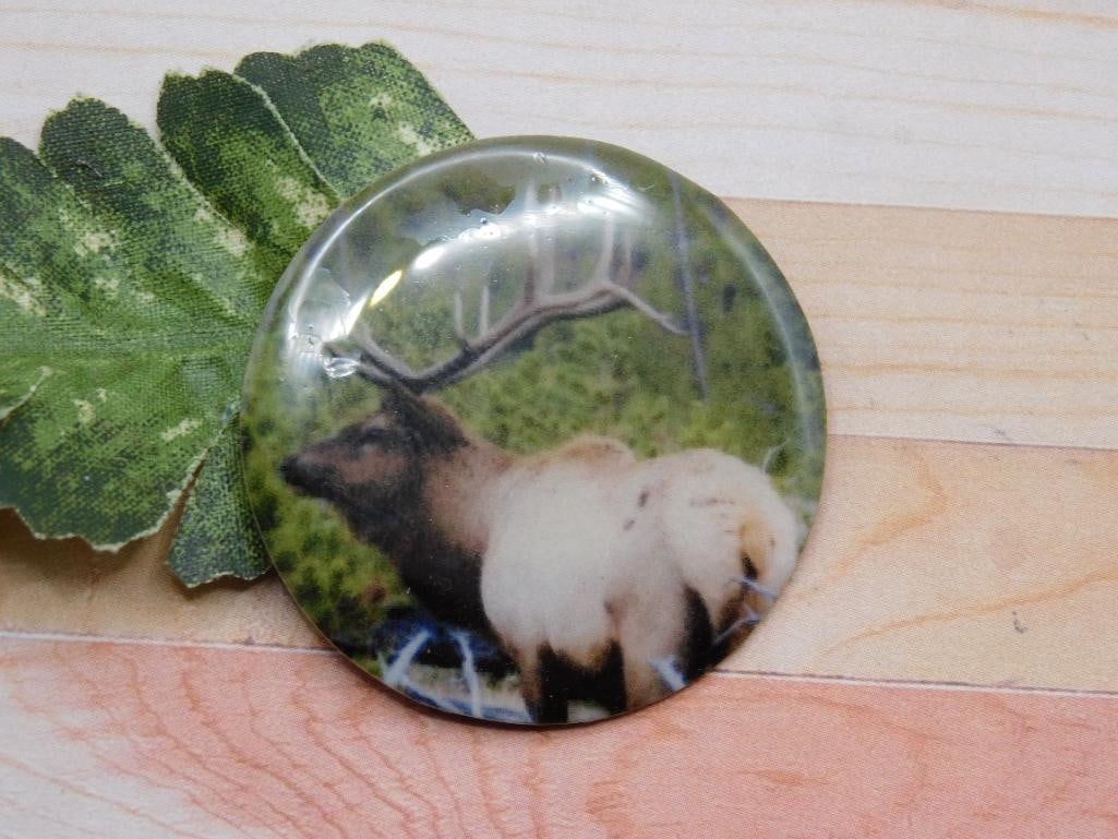 ELK CABOCHON ROCK STONE LAPIDARY SPECIMEN: ELK CABOCHON ROCK STONE LAPIDARY SPECIMEN