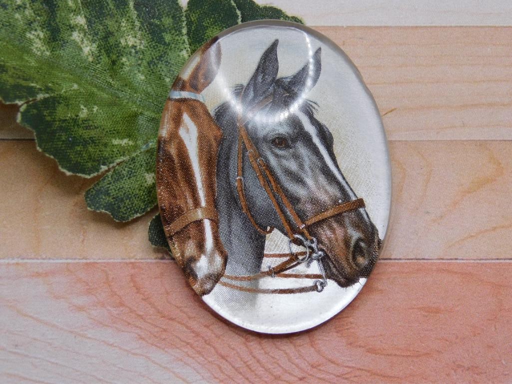 HORSE CABOCHON ROCK STONE LAPIDARY SPECIMEN: HORSE CABOCHON ROCK STONE LAPIDARY SPECIMEN