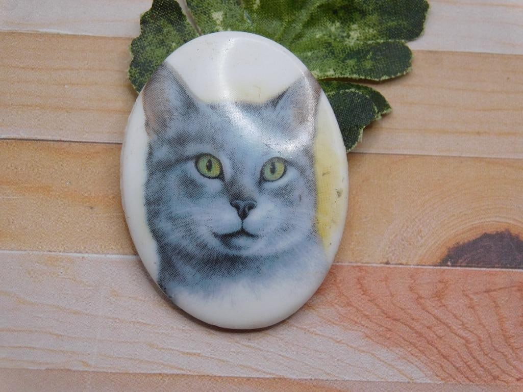 CAT CABOCHON ROCK STONE LAPIDARY SPECIMEN (1 of 2)