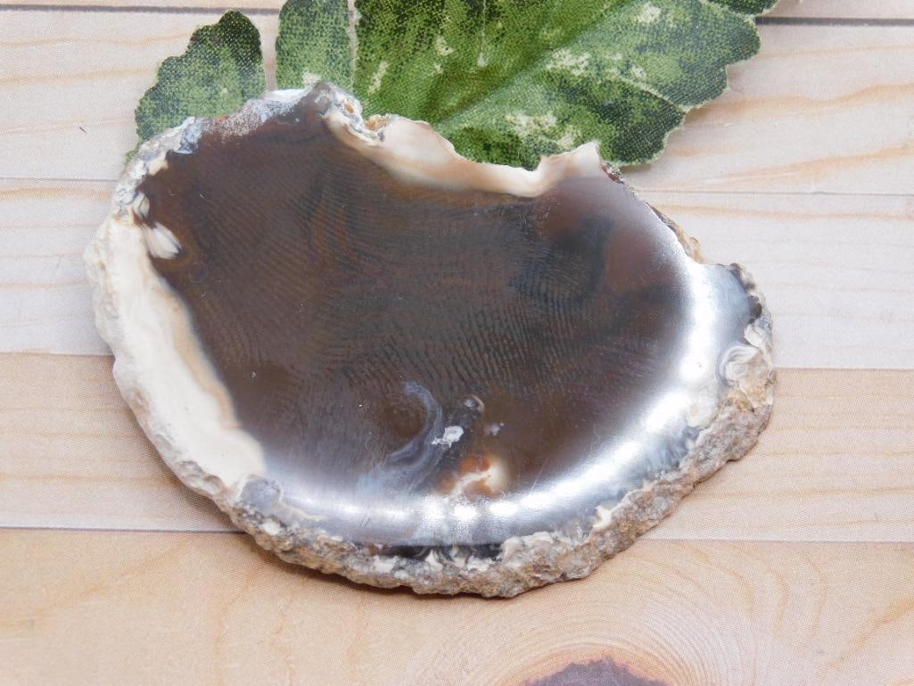 AGATE SLICE ROCK STONE LAPIDARY SPECIMEN: AGATE SLICE ROCK STONE LAPIDARY SPECIMEN