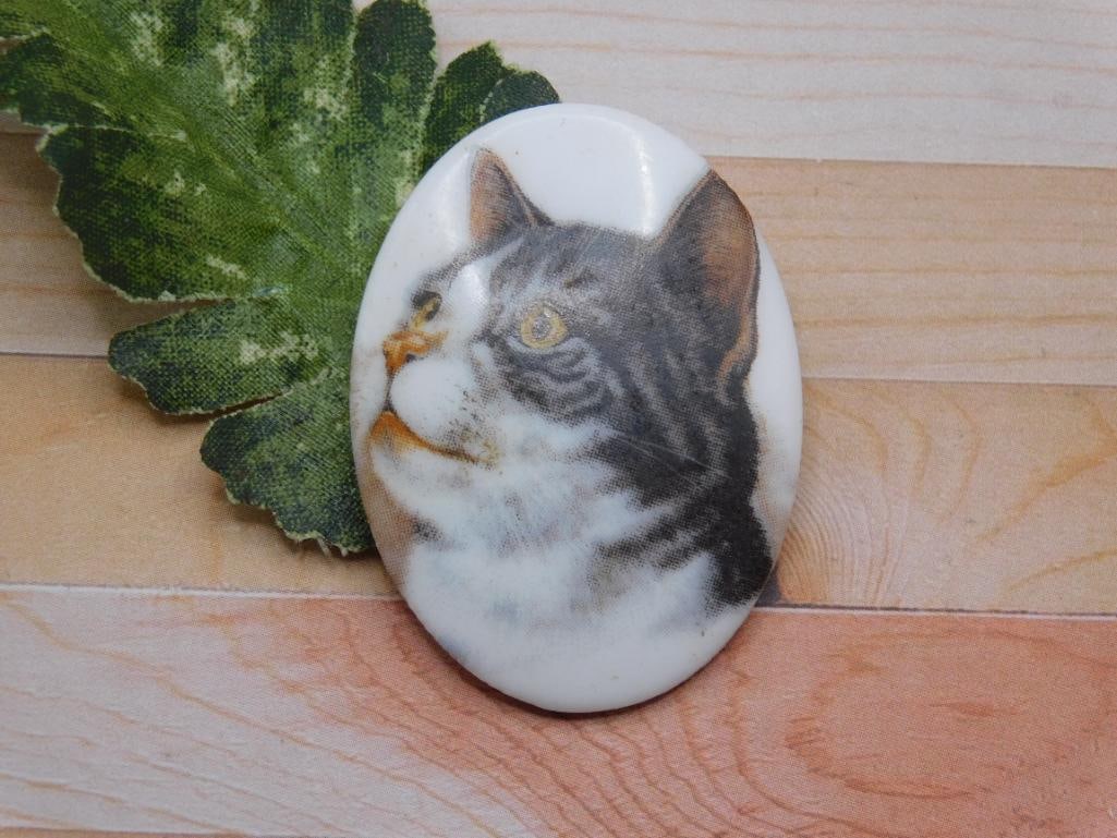 CAT CABOCHON ROCK STONE LAPIDARY SPECIMEN (1 of 2)