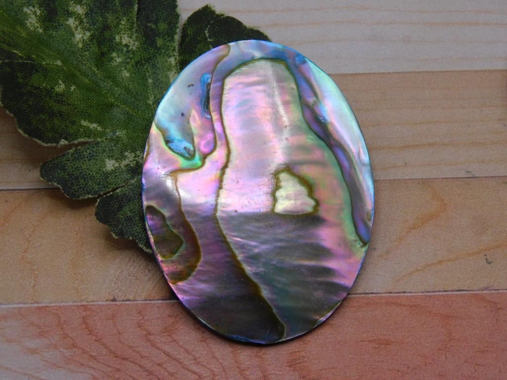 ABALONE CABOCHON ROCK STONE LAPIDARY SPECIMEN (1 of 2)