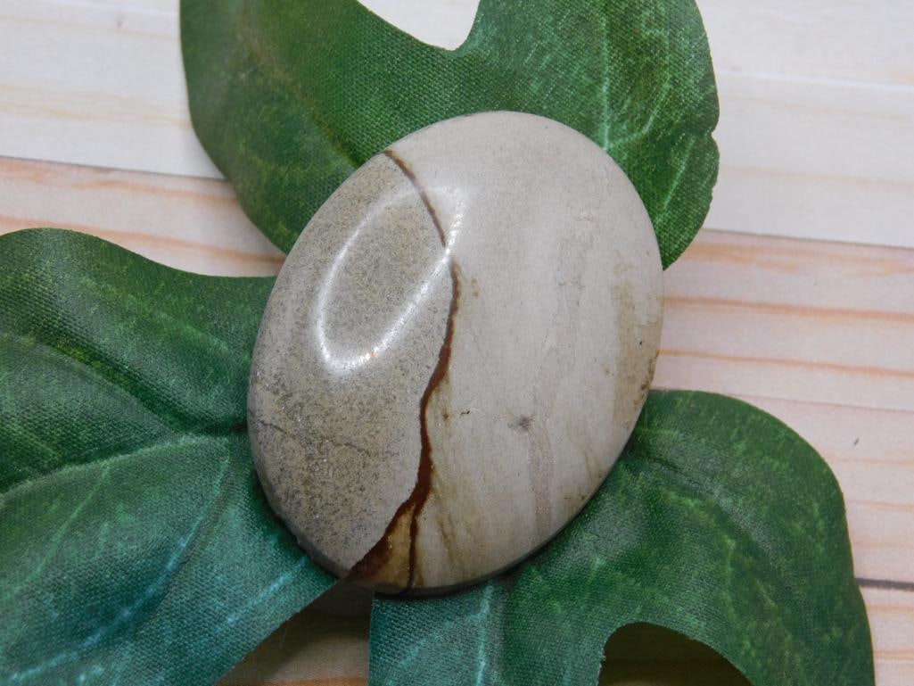 JASPER CABOCHON ROCK STONE LAPIDARY SPECIMEN: JASPER CABOCHON ROCK STONE LAPIDARY SPECIMEN