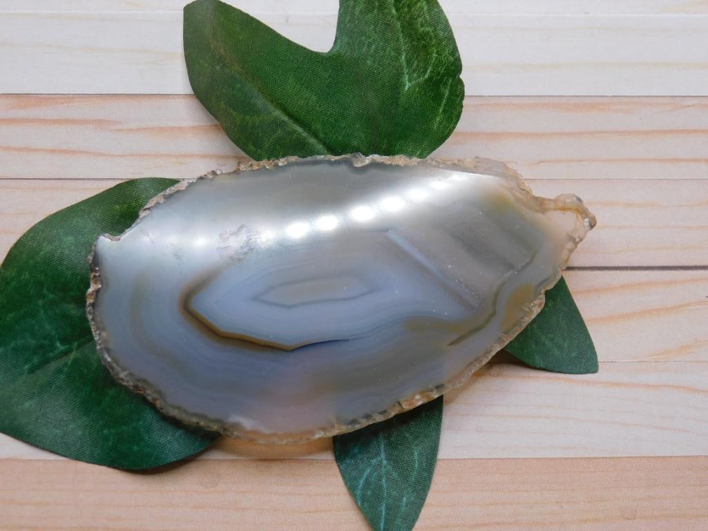 AGATE SLICE ROCK STONE LAPIDARY SPECIMEN: AGATE SLICE ROCK STONE LAPIDARY SPECIMEN