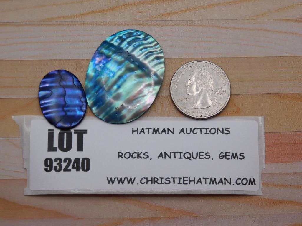 ABALONE CABOCHONS ROCK STONE LAPIDARY SPECIMEN - 2