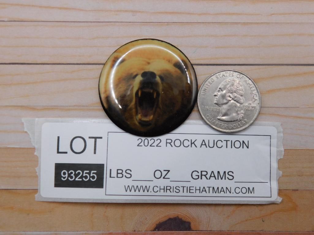 BEAR CABOCHON ROCK STONE LAPIDARY SPECIMEN - 2