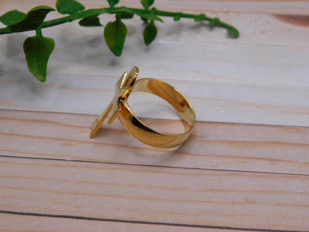ANKH RING ROCK STONE LAPIDARY SPECIMEN - 2
