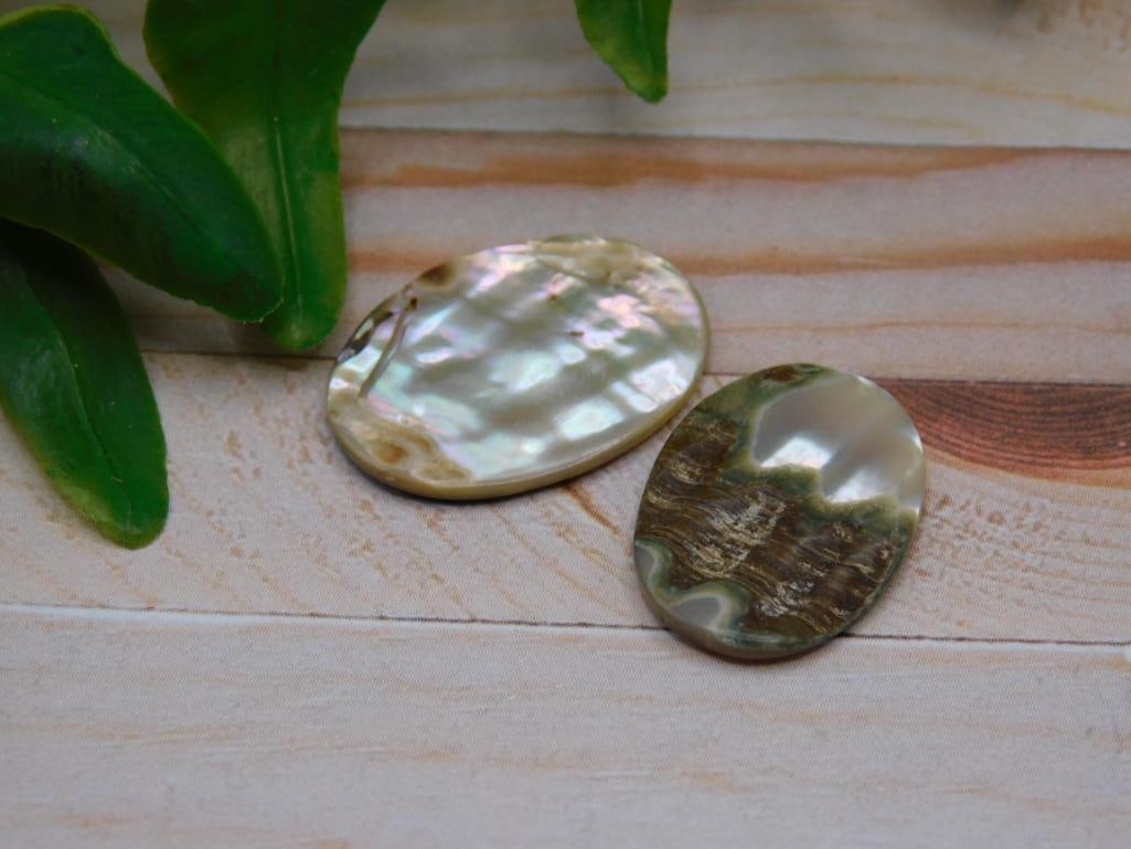 ABALONE CABOCHONS ROCK STONE LAPIDARY SPECIMEN - 2