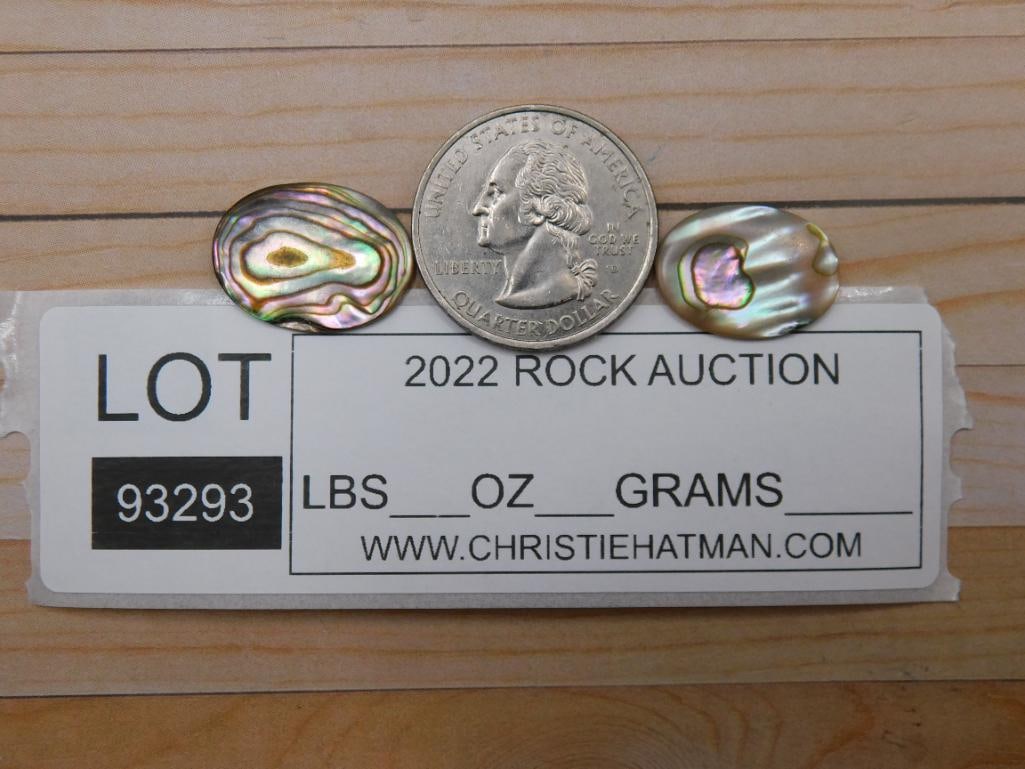 ABALONE CABOCHONS ROCK STONE LAPIDARY SPECIMEN - 3