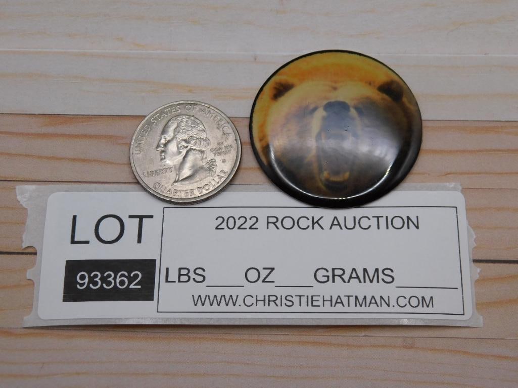 BEAR CABOCHON ROCK STONE LAPIDARY SPECIMEN - 2