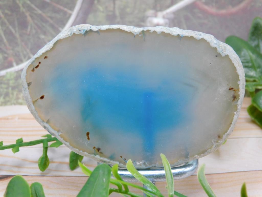 AGATE SLICE ROCK STONE LAPIDARY SPECIMEN: AGATE SLICE ROCK STONE LAPIDARY SPECIMEN