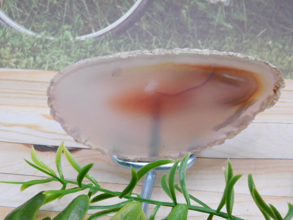 AGATE SLICE ROCK STONE LAPIDARY SPECIMEN: AGATE SLICE ROCK STONE LAPIDARY SPECIMEN